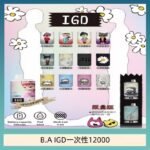 B.A IGD12000口 電子煙