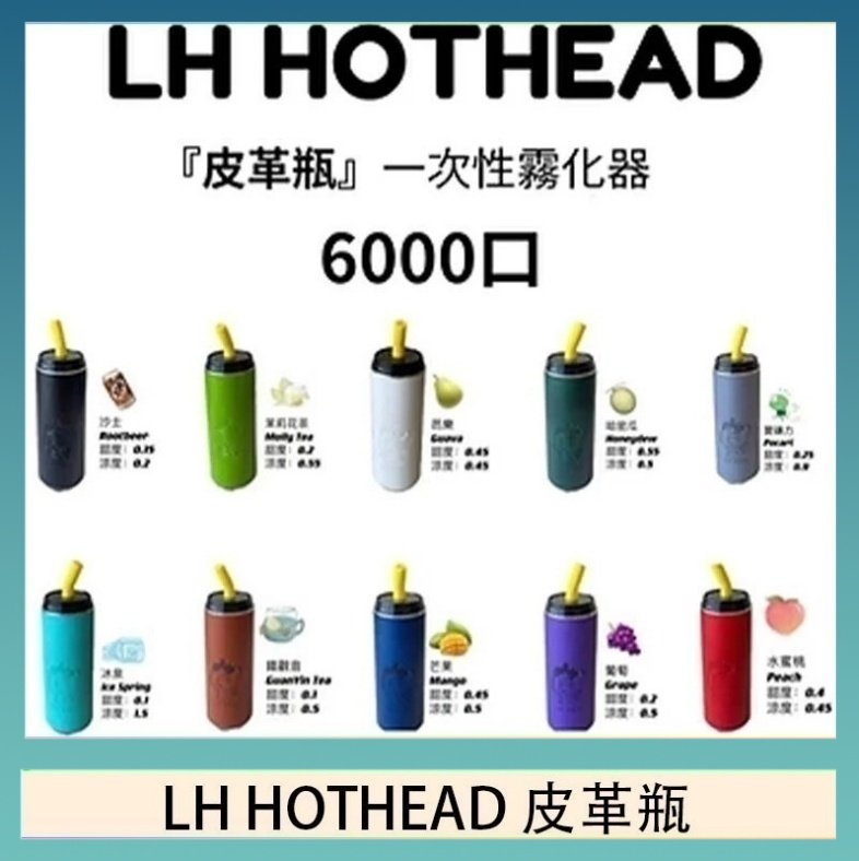 LH HOTHEAD皮革 LH HOTHEAD皮革瓶電子煙可充電6000口一次性